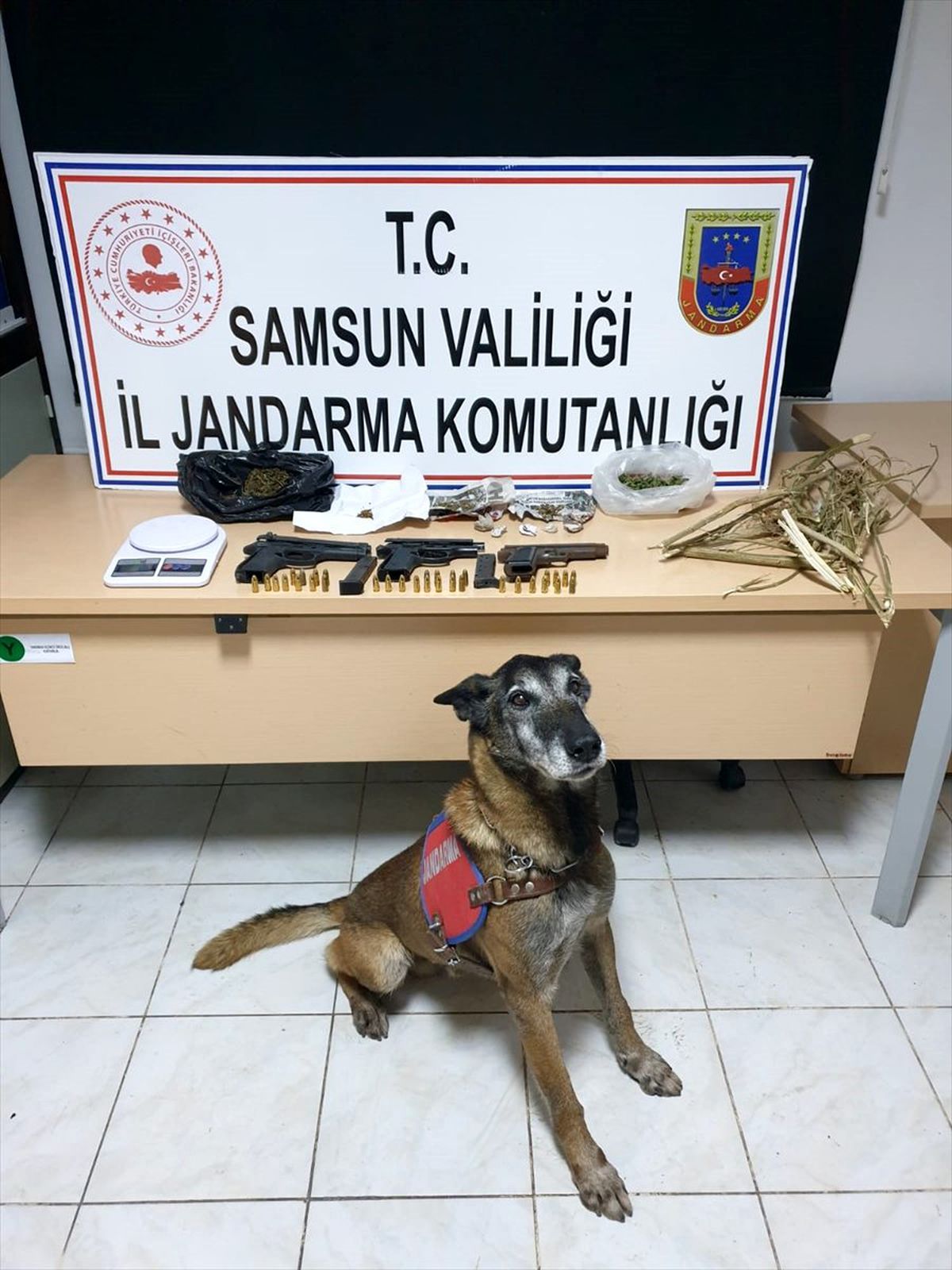 Samsun\'da uyuşturucu operasyonunda bir kişi yakalandı