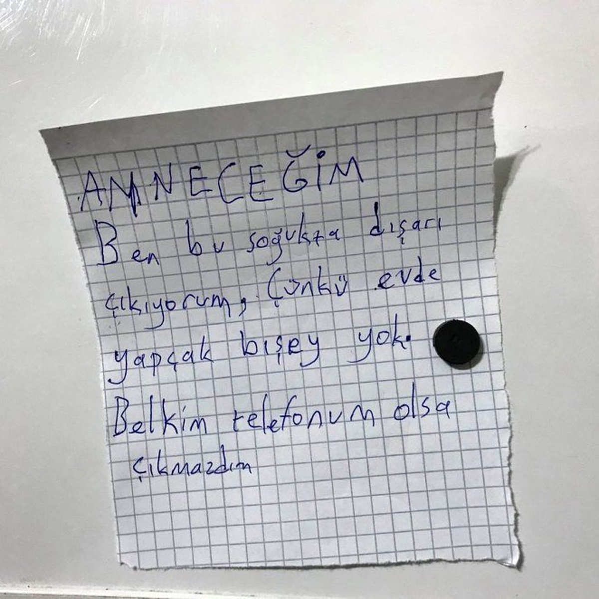 Telefon Aldırmak İçin Her Gün Komik Notlar Bırakan Kardeş