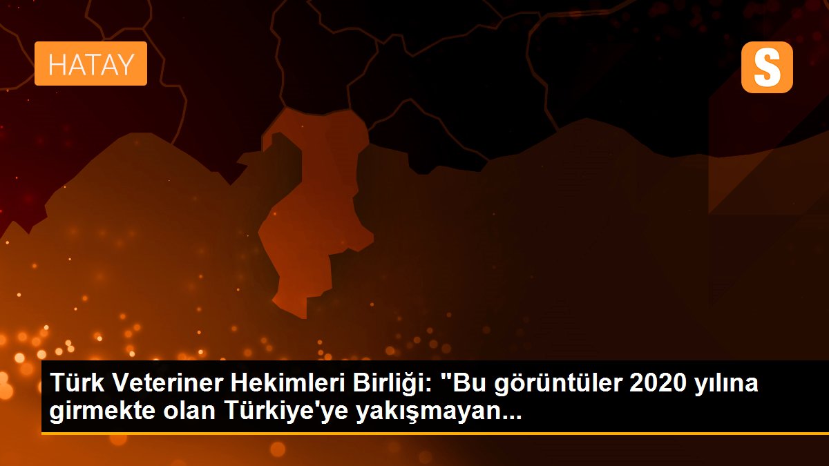 Türk Veteriner Hekimleri Birliği: "Bu görüntüler 2020 yılına girmekte olan Türkiye\'ye yakışmayan...