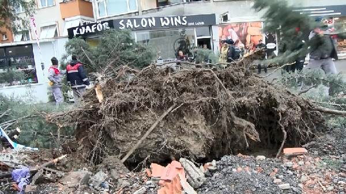 Ümraniye\'de şiddetli fırtına ağaç devirdi