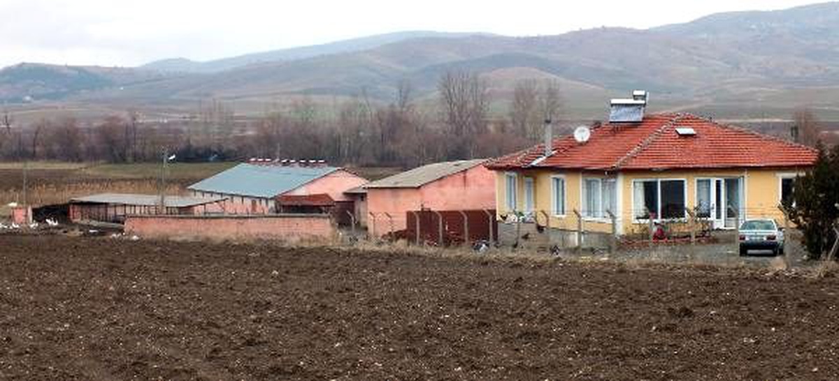 1,5 milyon liralık mandırasına elektrik hattı çektiremedi
