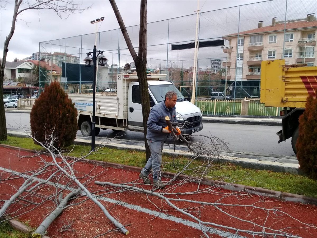 Ankara\'da tehlike oluşturan ağaçlar budandı