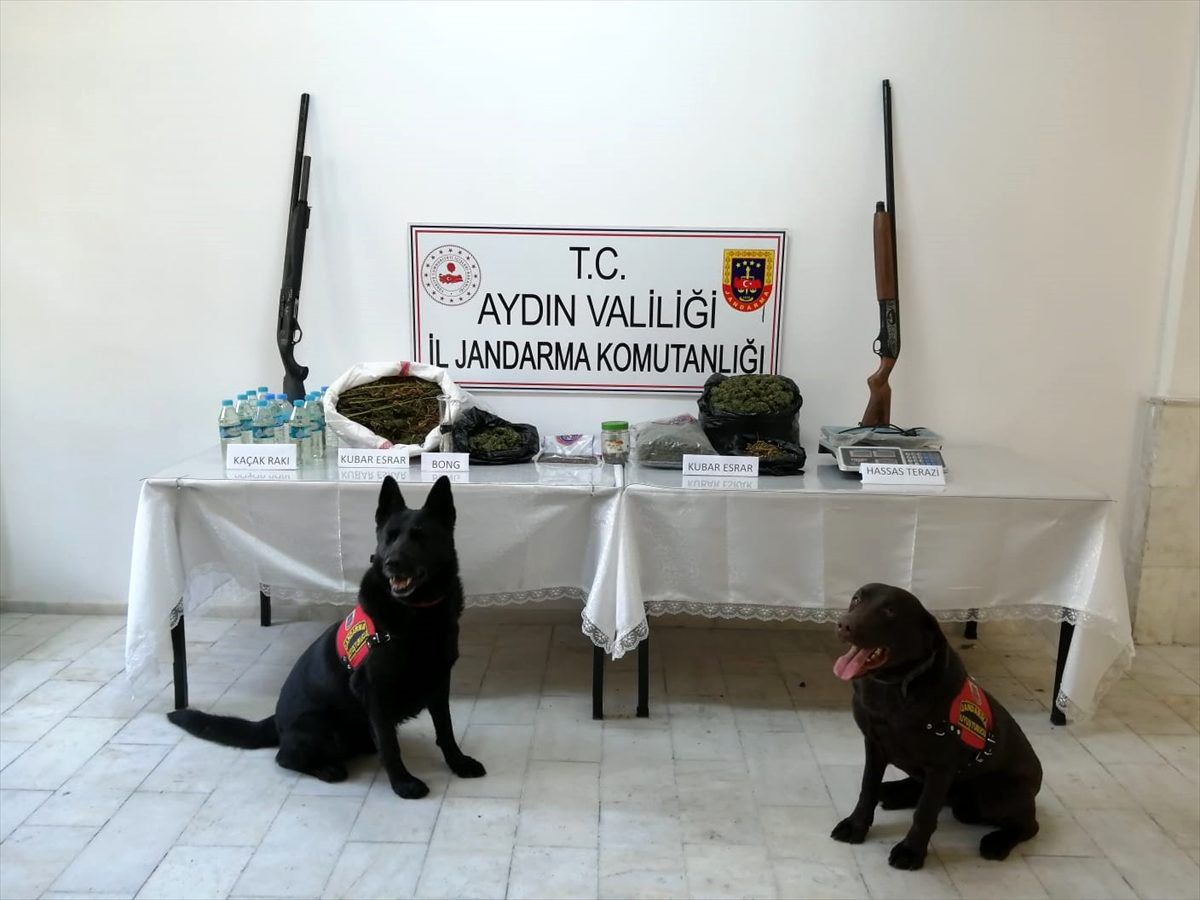 Aydın\'da düzenlenen uyuşturucu operasyonunda 4 kişi gözaltına alındı