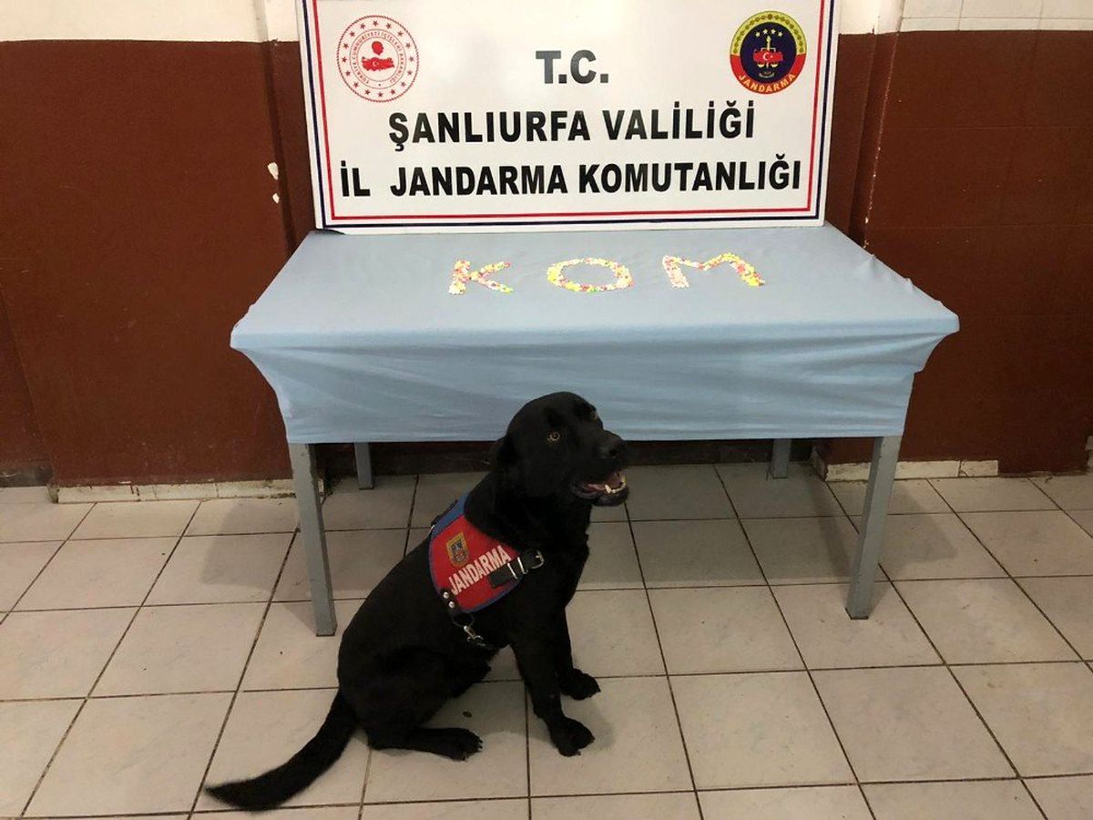Bahçe duvarında uyuşturucu çıktı