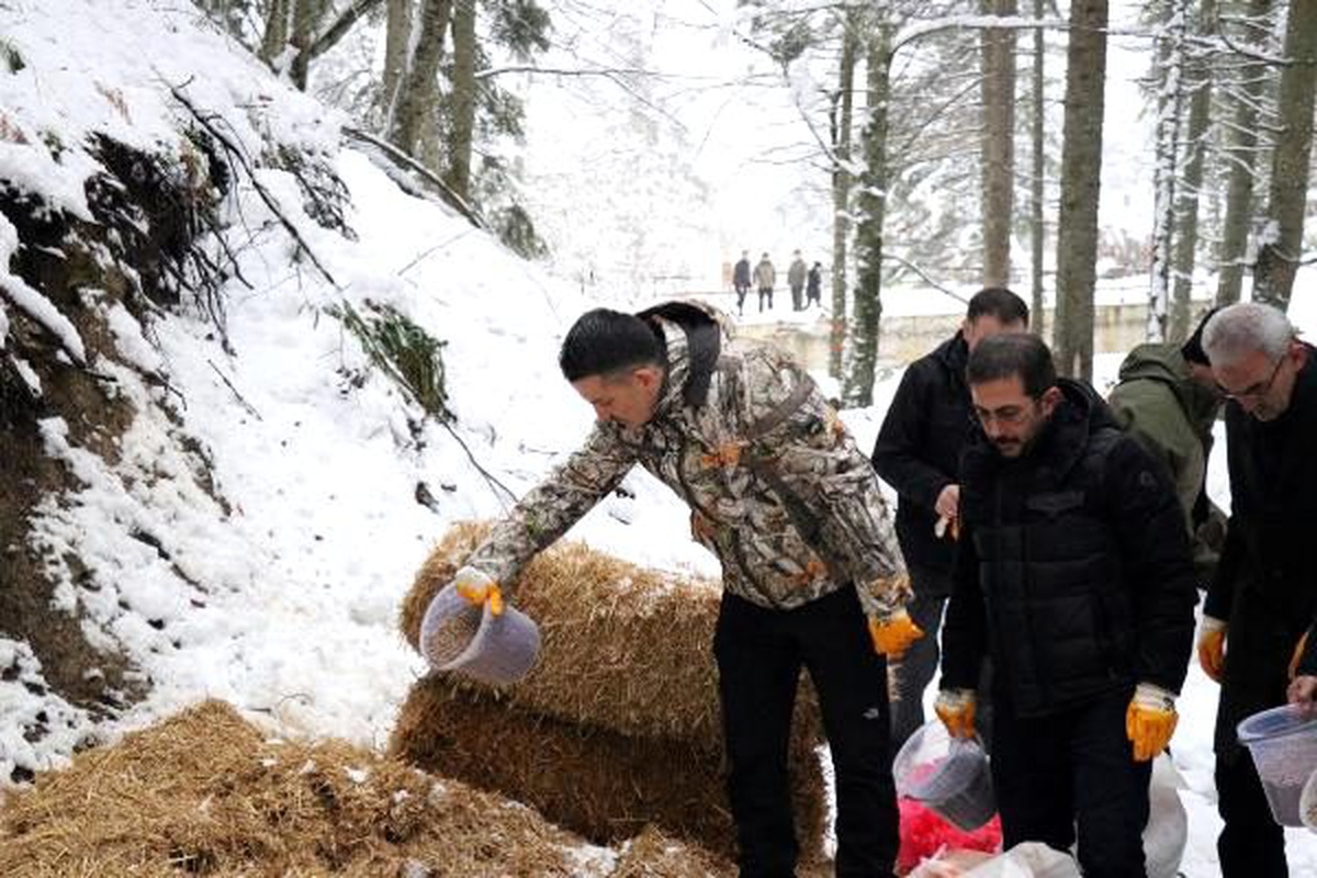 Bakan Pakdemirli, tedavisi tamamlanan hayvanları doğaya saldı