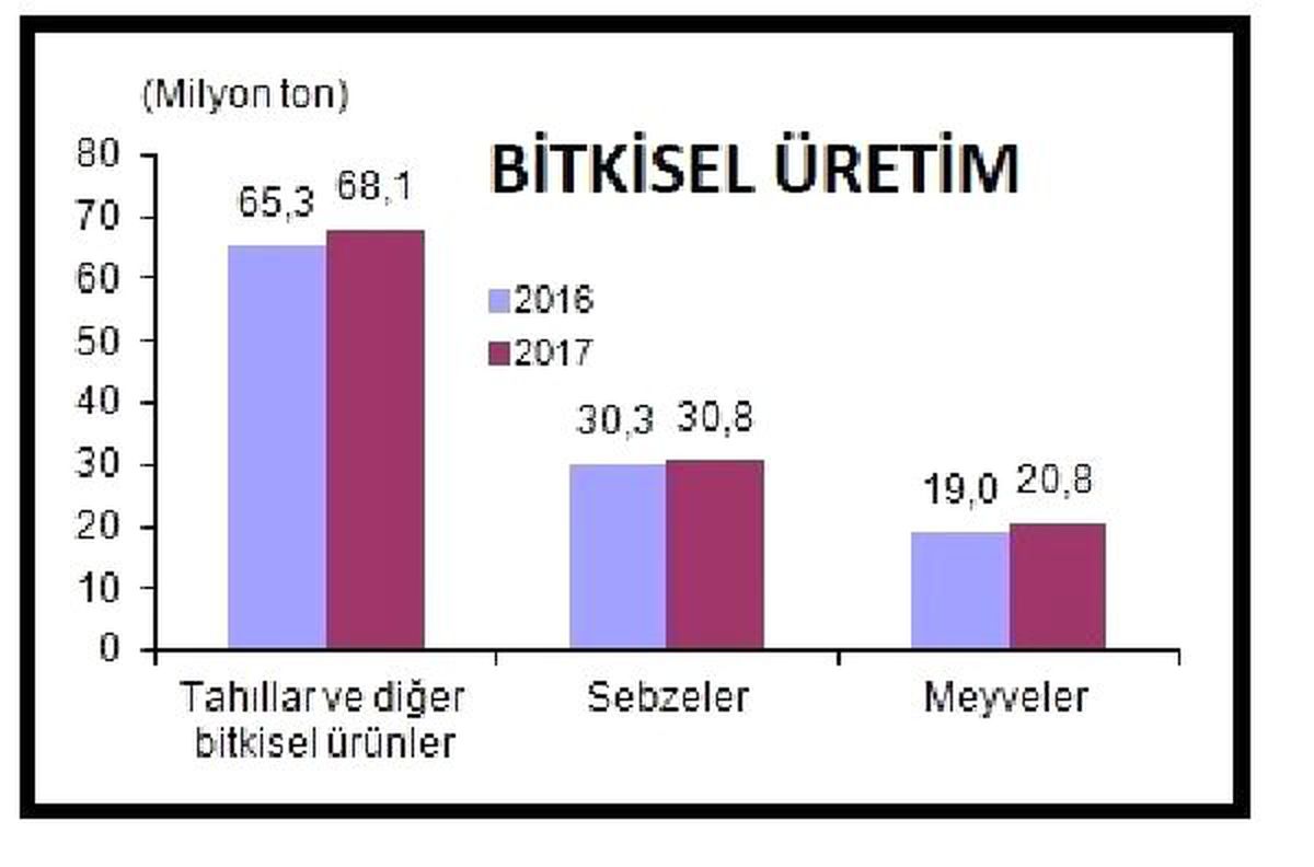 Buğday üretimi yüzde 5.0 düşüşle 19 milyon tona indi (2)