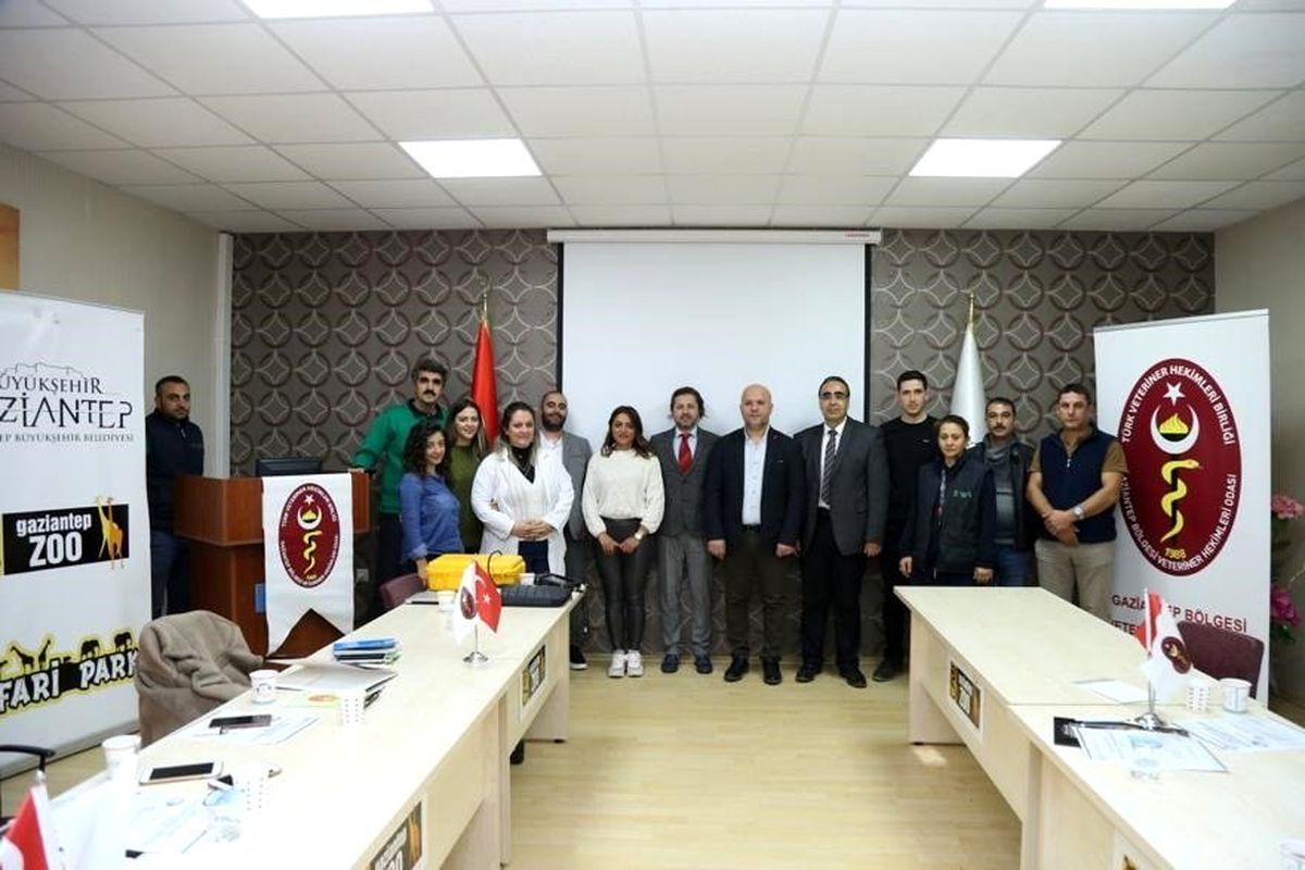 Büyükşehir\'den veterinerlere ultrason eğitimi
