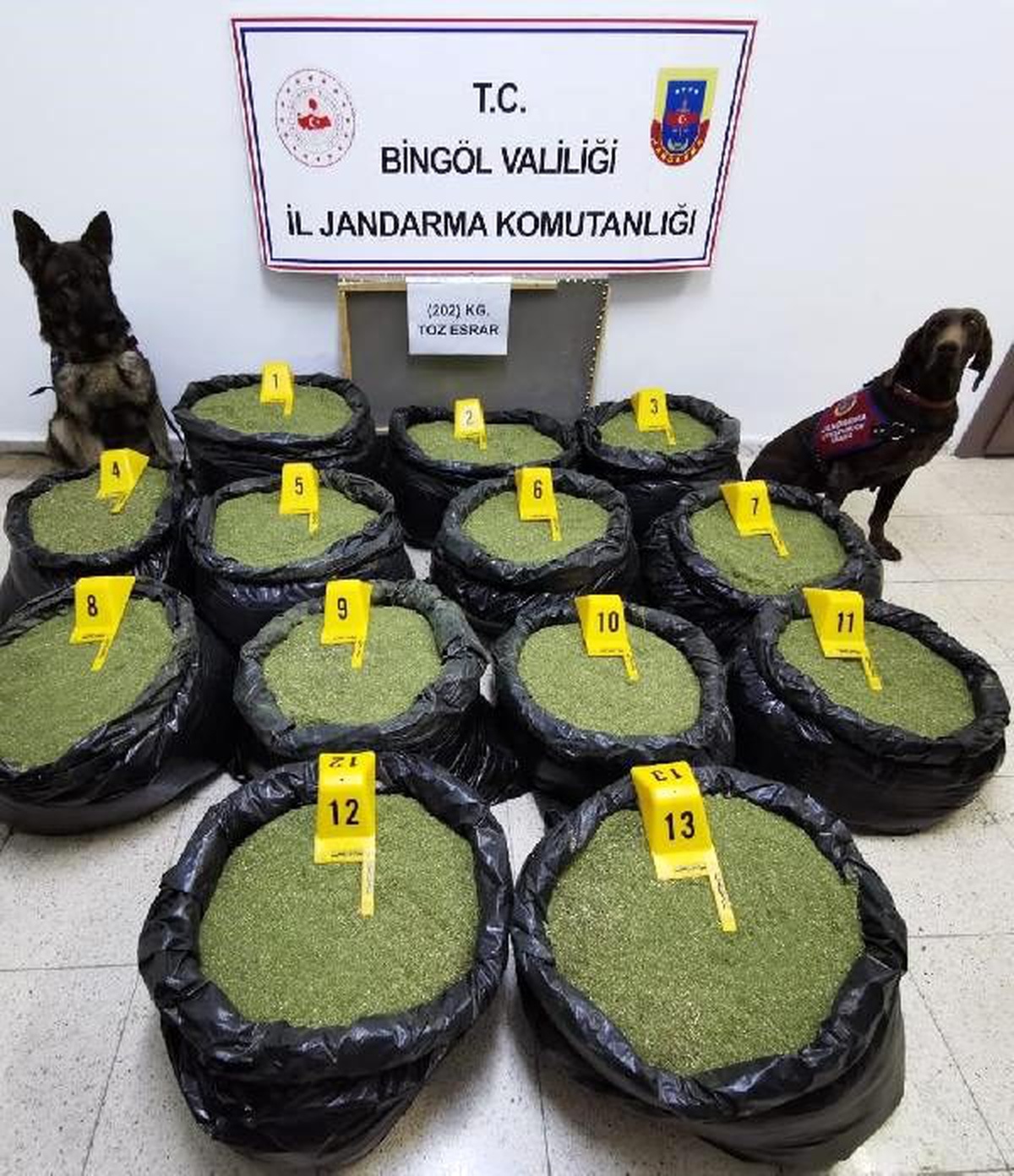 Dere yatağında 202 kilo esrar ele geçirildi