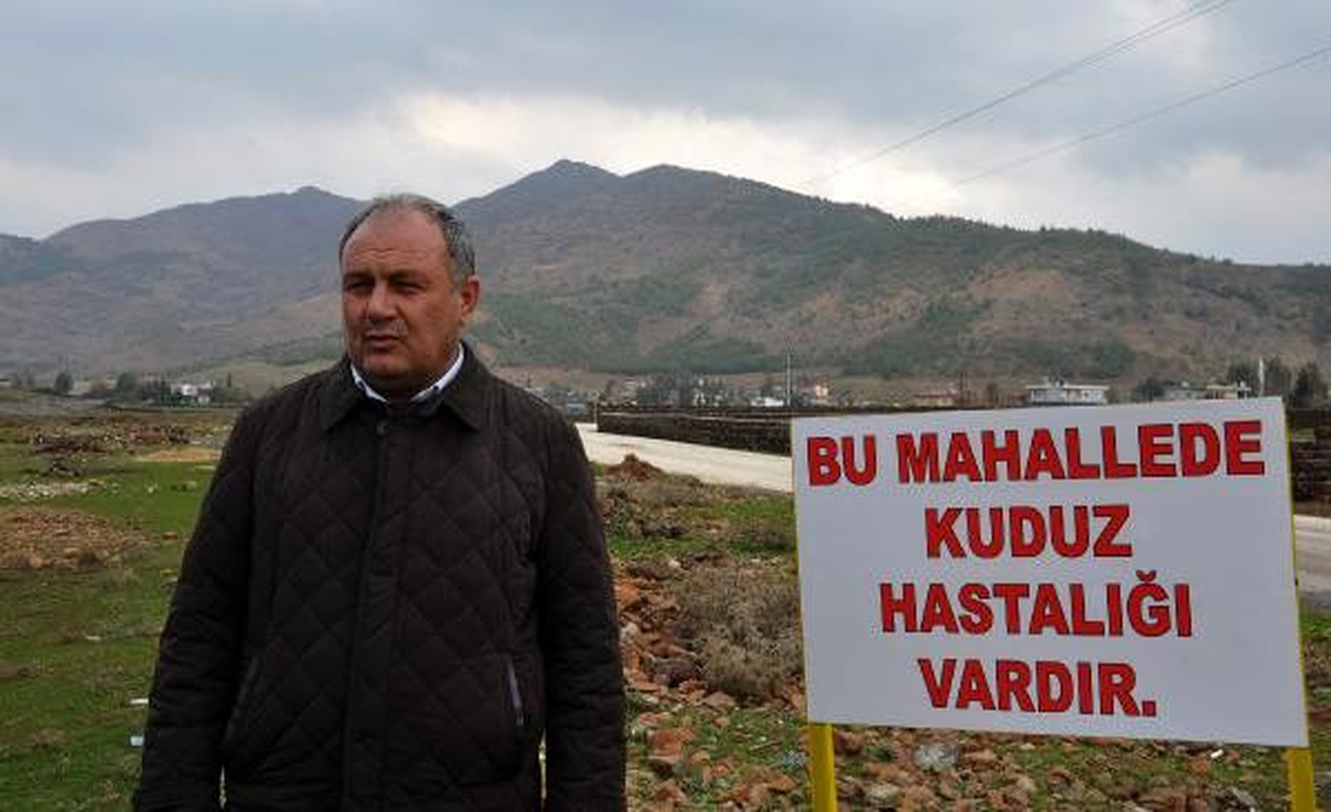 Ölen ineğin kuduz çıktığı mahalle, karantinaya alındı
