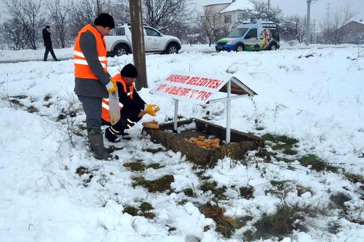 Sokak hayvanları için karlı bölgeye mama bıraktılar