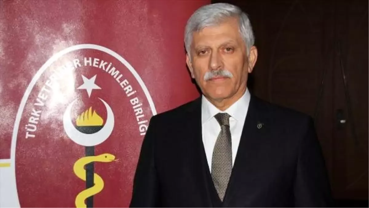 TVHB Başkanı Eroğlu: Hayvan hakları konusunda zaman geçirilmeden yeni düzenleme yapılmalı