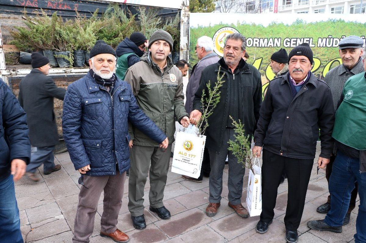 Yozgat\'ta 2 bin 20 adet çam fidanı dağıtıldı