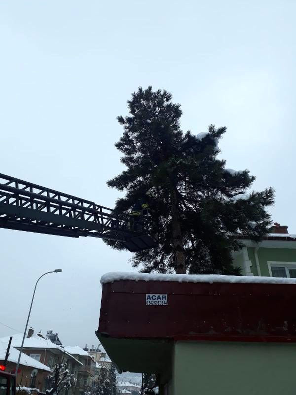 Ağaçta mahsur kalan kediyi itfaiye kurtardı