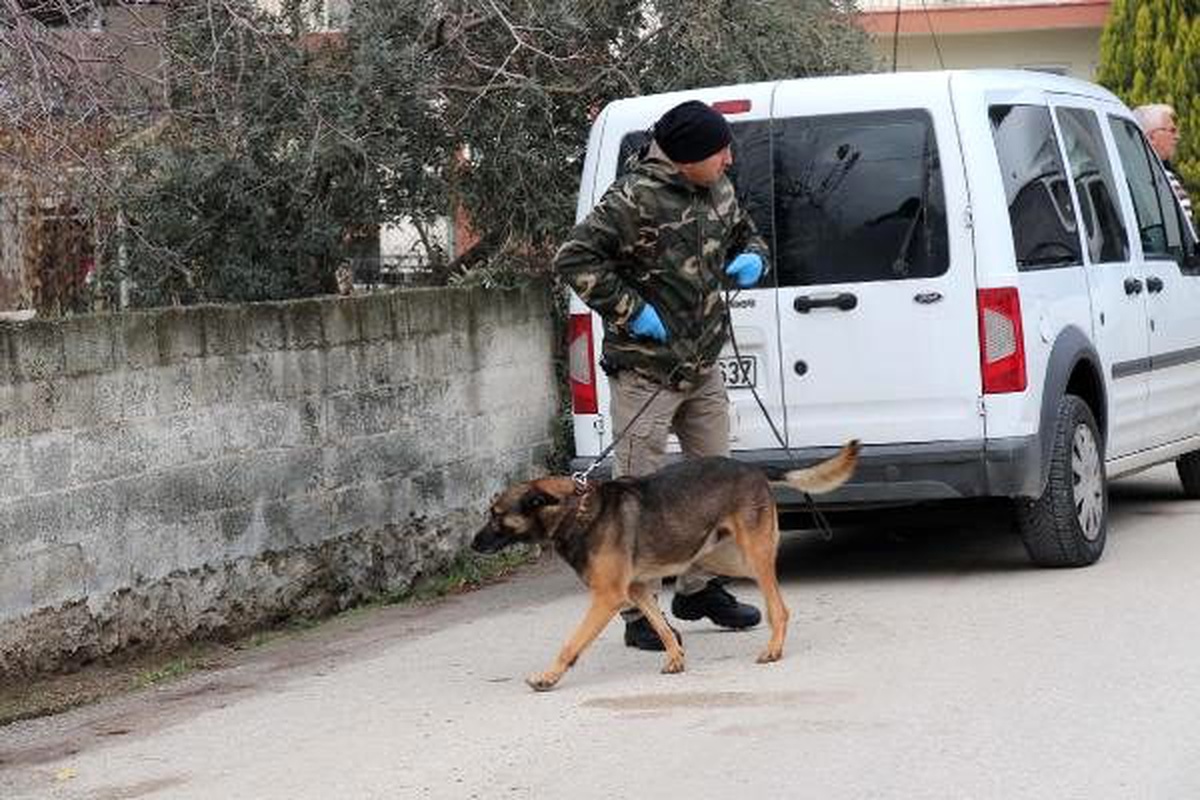 Alkol komasına giren diş hekimi Betül öldü, meslektaşı ve doktor tedavide (2)
