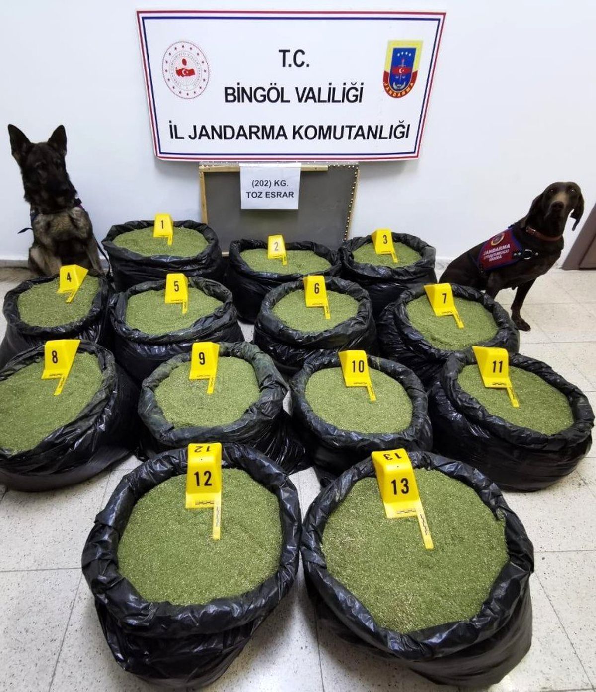 Bingöl\'de jandarma, 202 kilo toz esrar ele geçirildi