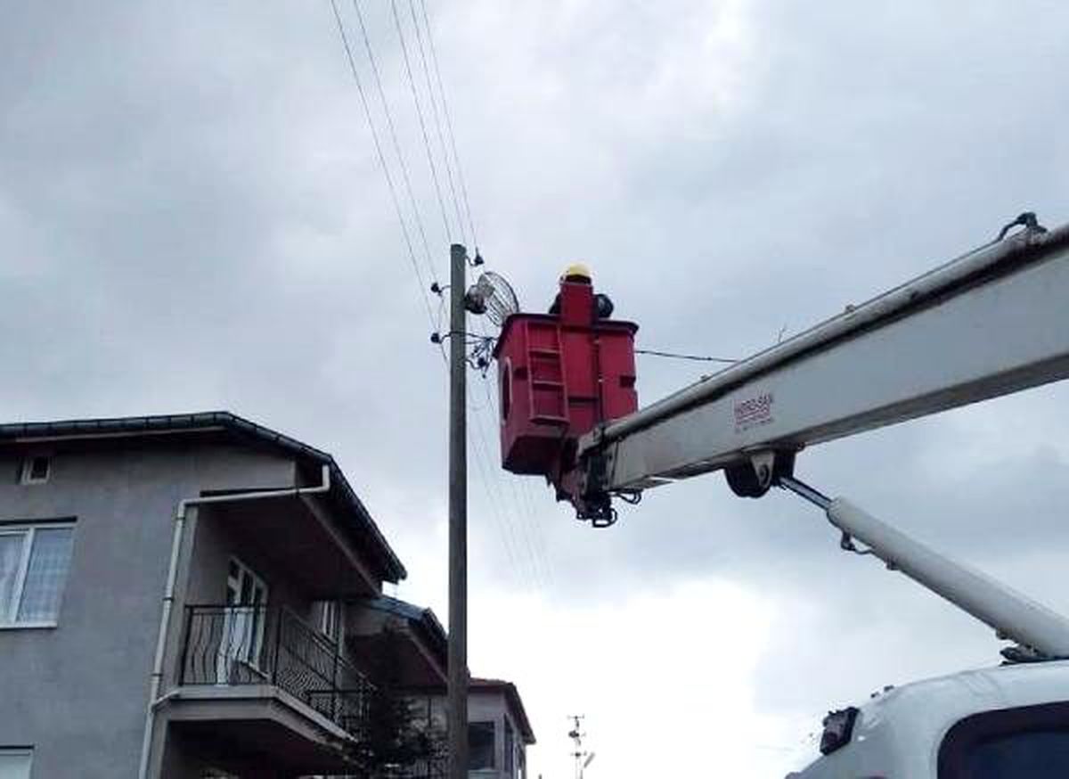 Elektrik direğinde mahsur kalan kedi kurtarıldı