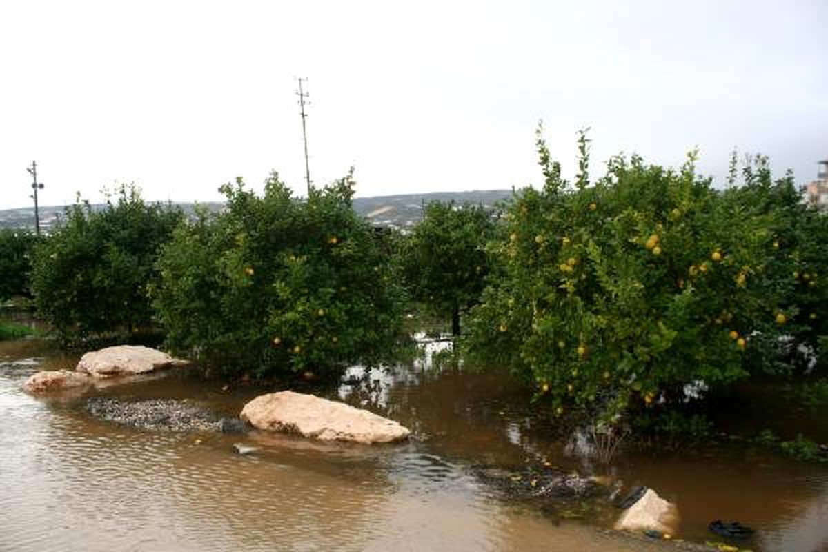 Erdemli\'de göle dönen seralardaki sular tahliye ediliyor
