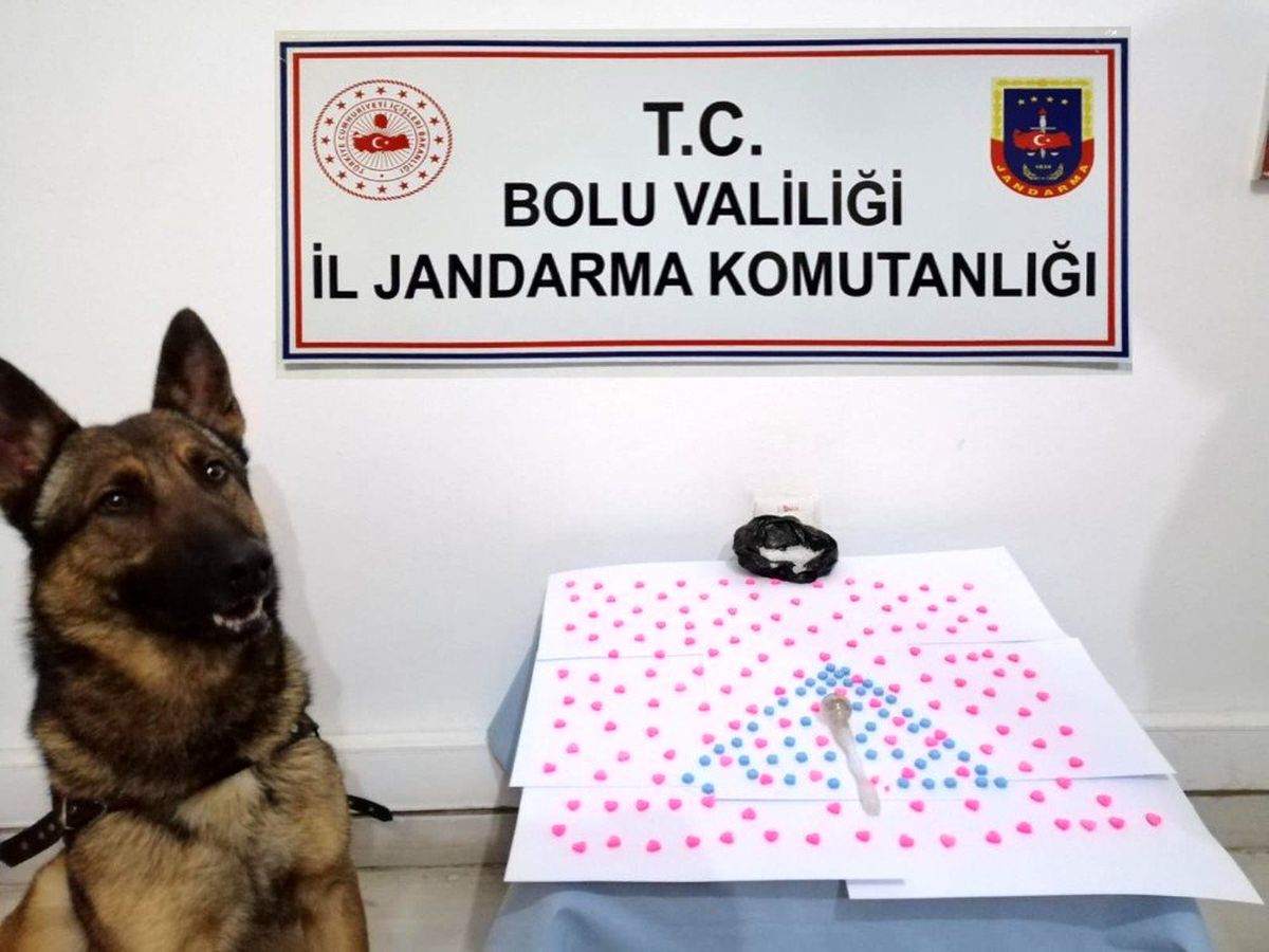 Jandarma ekiplerinden yeni yıl operasyonu