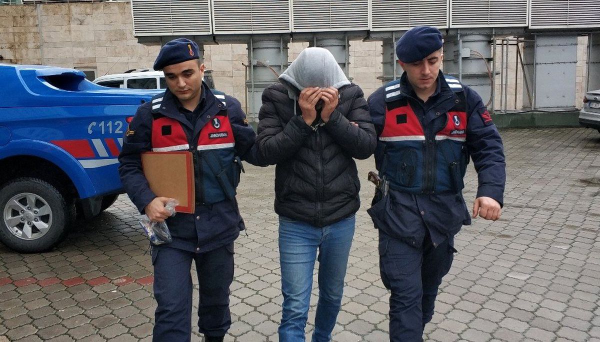 Kamyonda bonzai ile yakalandı