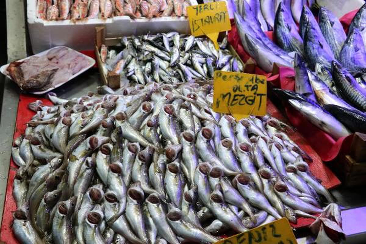 Karadeniz\'de balık azlığı, fiyatlara yansıyor