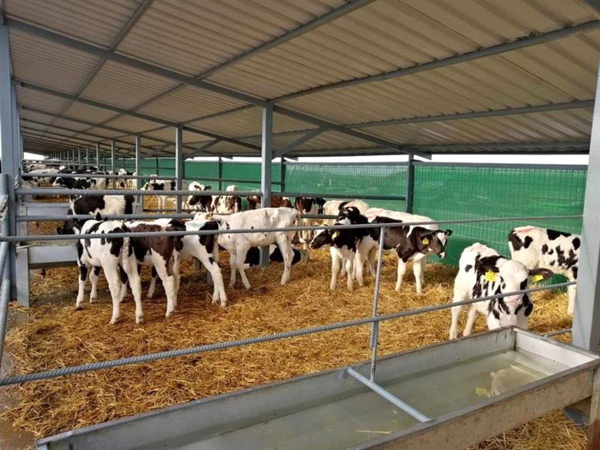 Sütün yolculuğu Lüleburgaz\'dan Malezya\'ya