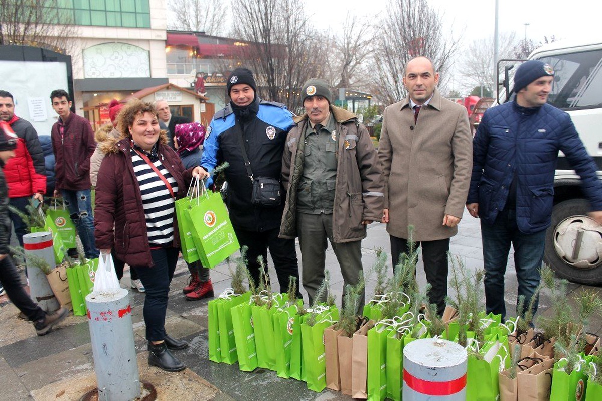 Yalova\'da vatandaşlara 2 bin 200 çam fidanı dağıtıldı