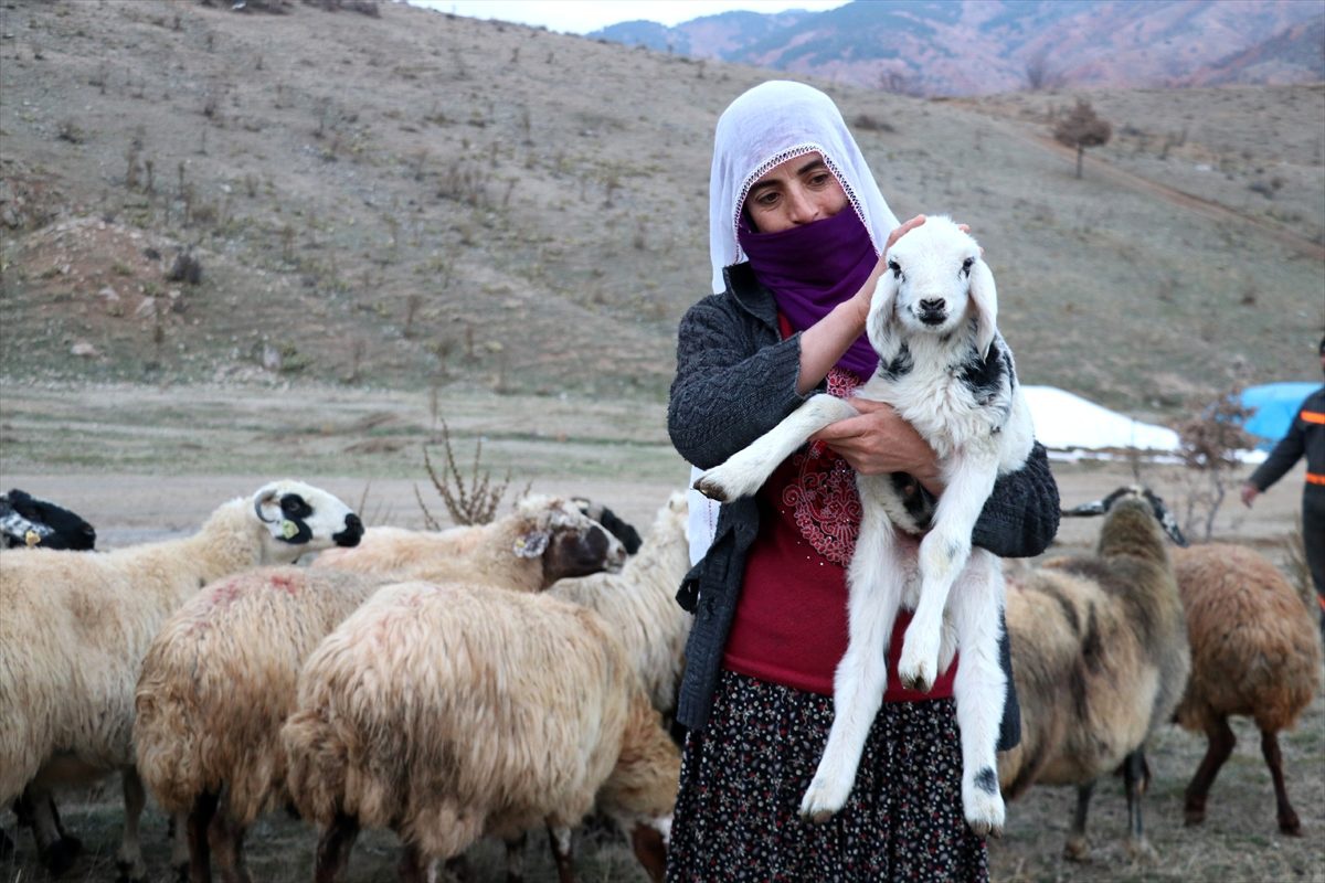 Yeni yıla, çetin kış şartlarında merada girdiler