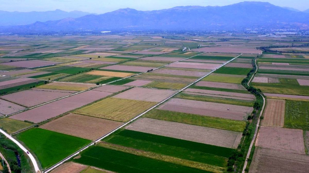Aydın, Denizli ve Muğla\'da 269 bin 647 dekar tarım arazisi toplulaştırıldı