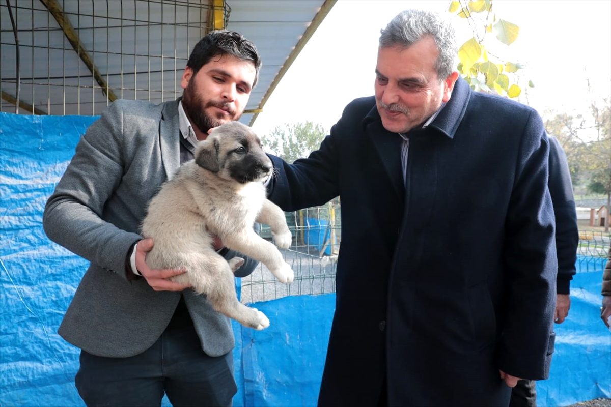 Beyazgül, hayvan barınağını ziyaret etti