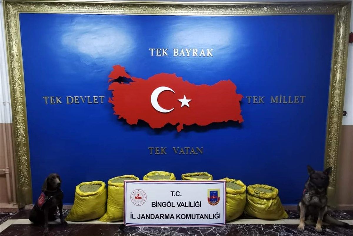 Bingöl\'de 132 kilogram esrar ele geçirildi