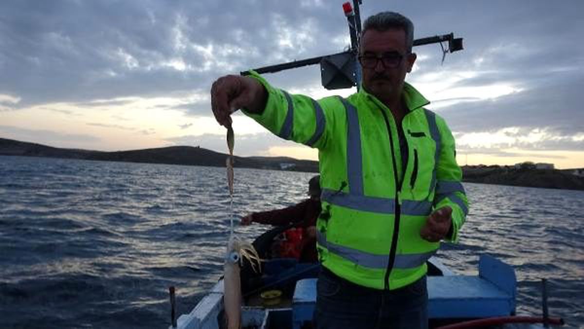 Bozcaada kalamarı gelir kapısı oldu