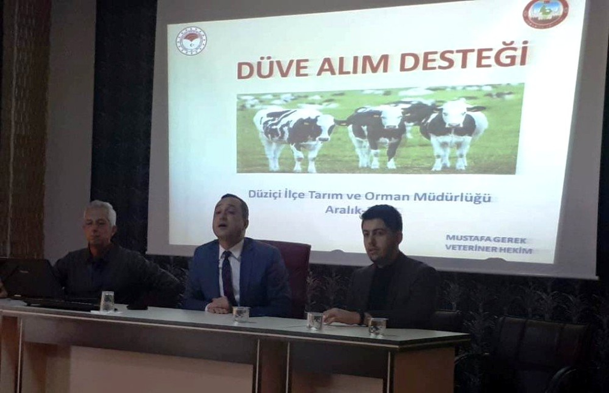 Düziçi\'nde yetiştiricilere düve alım desteği bilgilendirmesi
