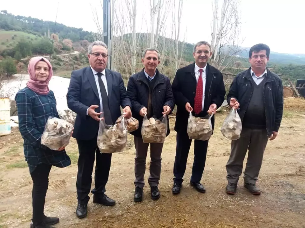 Genç Çiftçi Projesi ile istiridye mantarı üretimine başladı