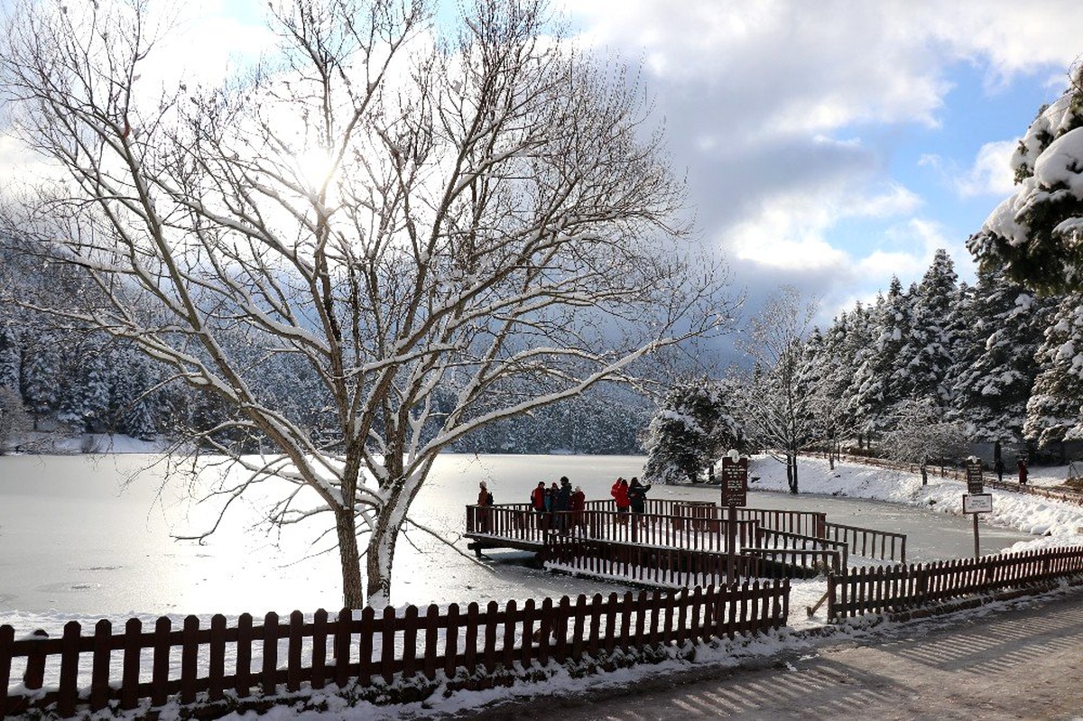 Gölcük Tabiat Parkı\'ndaki göl buz tuttu