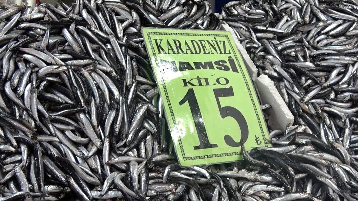 Hamsi Rusya ve Gürcistan\'a kaçtı, vatandaşlar buzhane balığı tüketiyor
