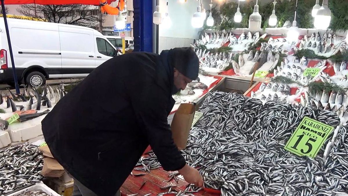 Hamsi Rusya ve Gürcistan\'a kaçtı, vatandaşlar buzhane balığı tüketiyor