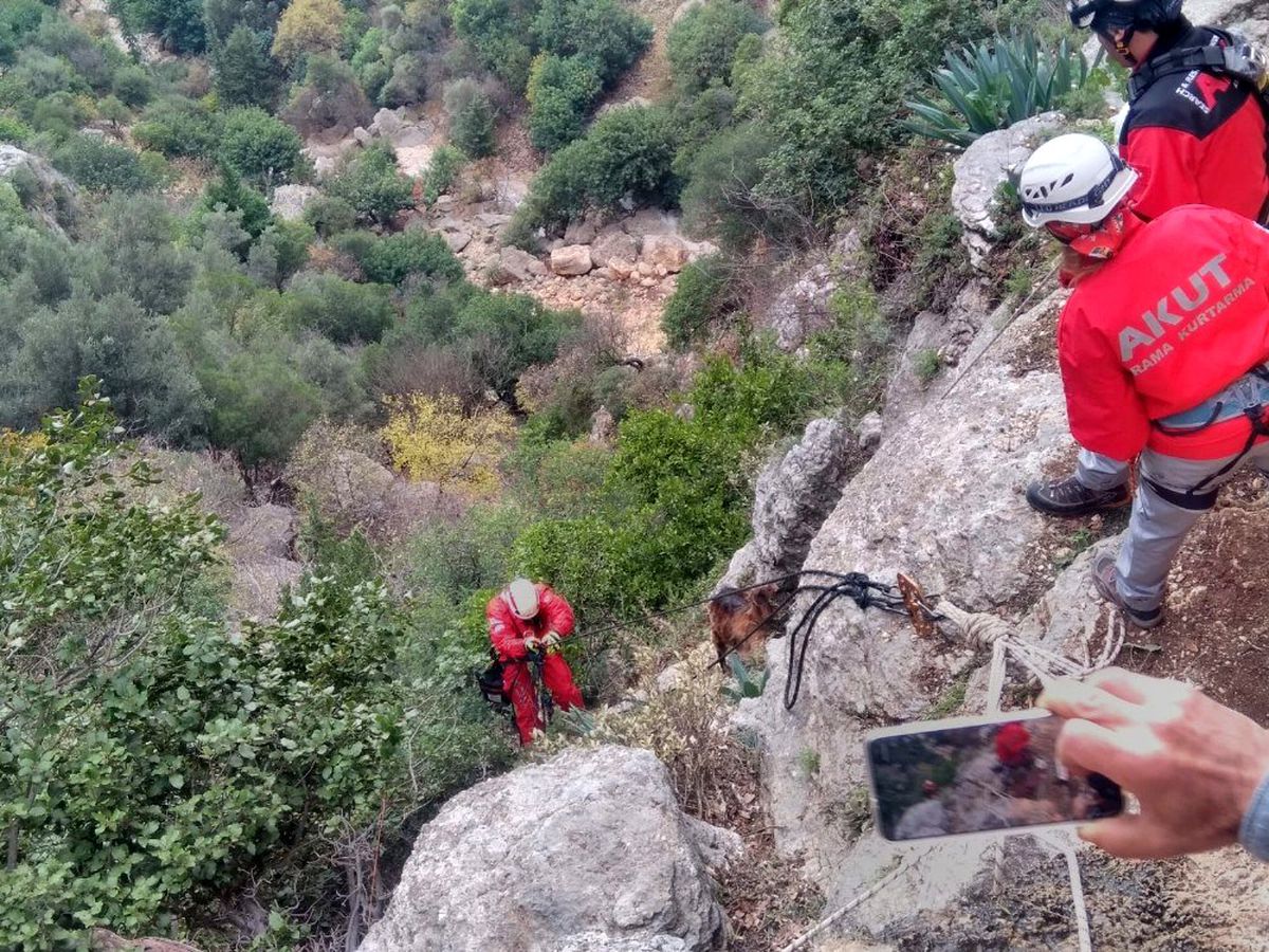 Kayalıklarda mahsur kalan keçi AKUT ekiplerince kurtarıldı