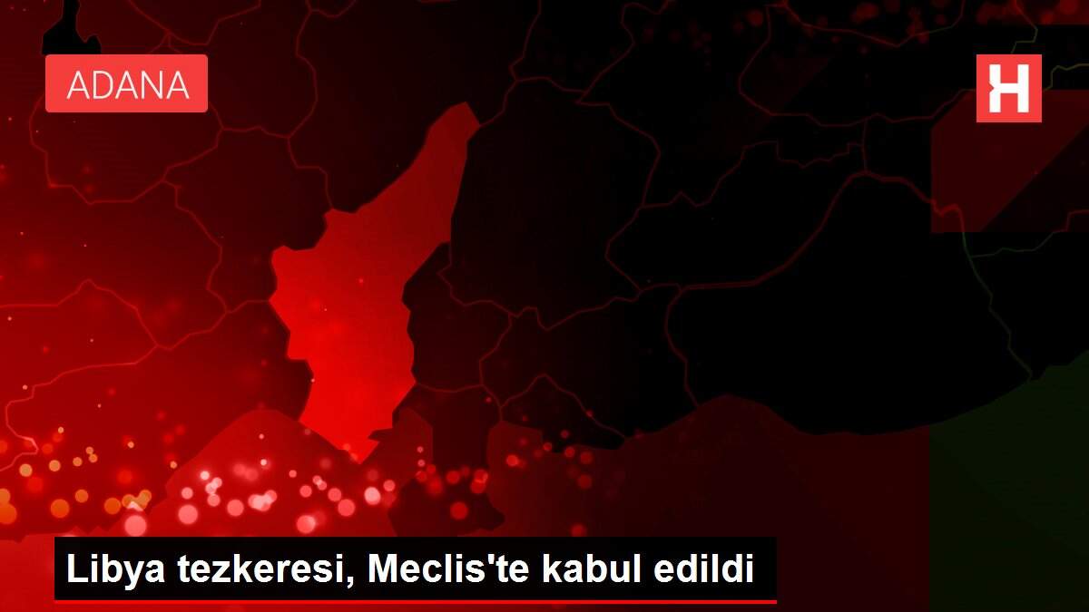 Libya tezkeresi, Meclis'te kabul edildi