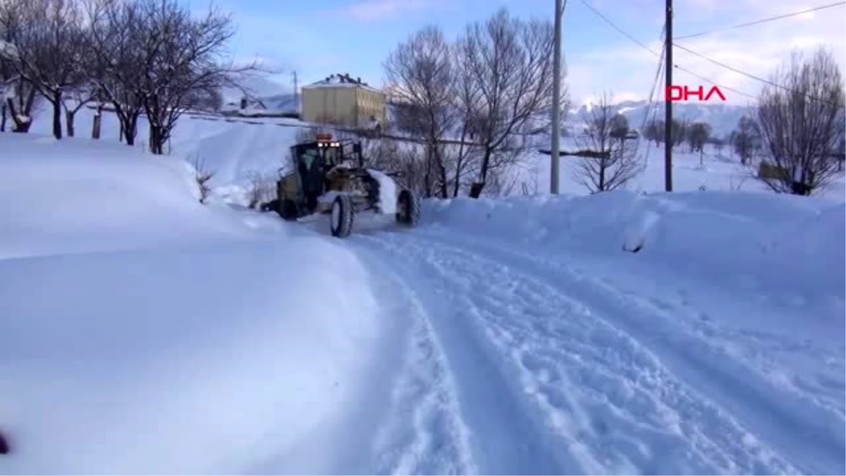 Muş ayağı kırık at için ekipler seferber oldu