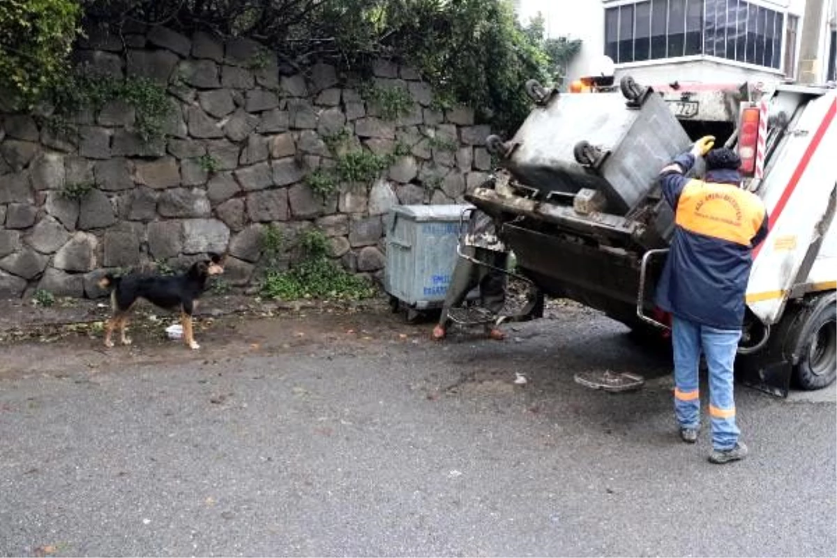 Temizlik görevlilerinin sokak köpeği ile kurduğu dostluk