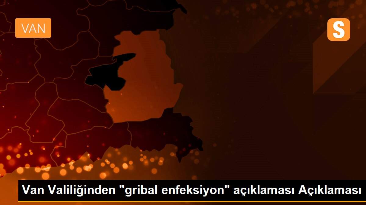 Van Valiliğinden "gribal enfeksiyon" açıklaması Açıklaması