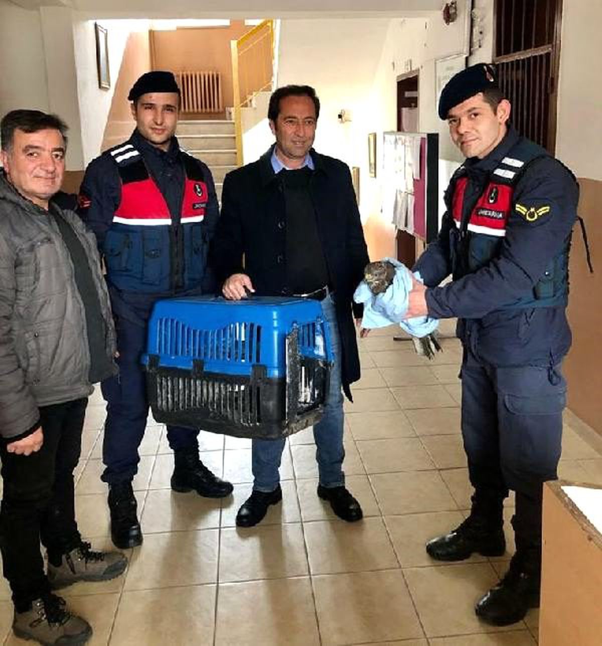 Yaralı atmacaya jandarma şefkati
