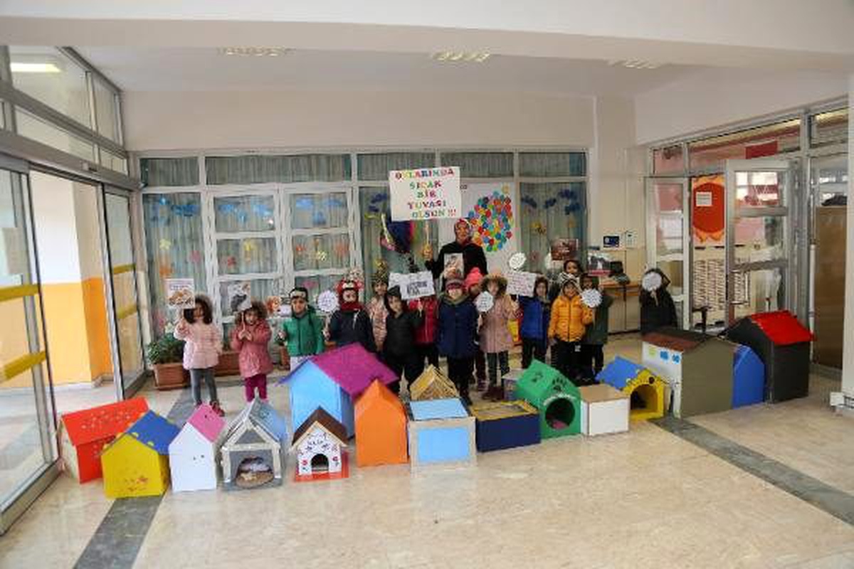 Anaokulu öğrencileri kedi evi tasarladı