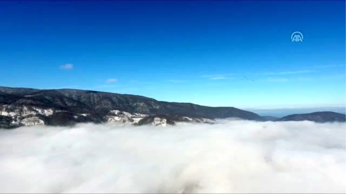 Batı Karadeniz\'de yoğun sis etkili oldu