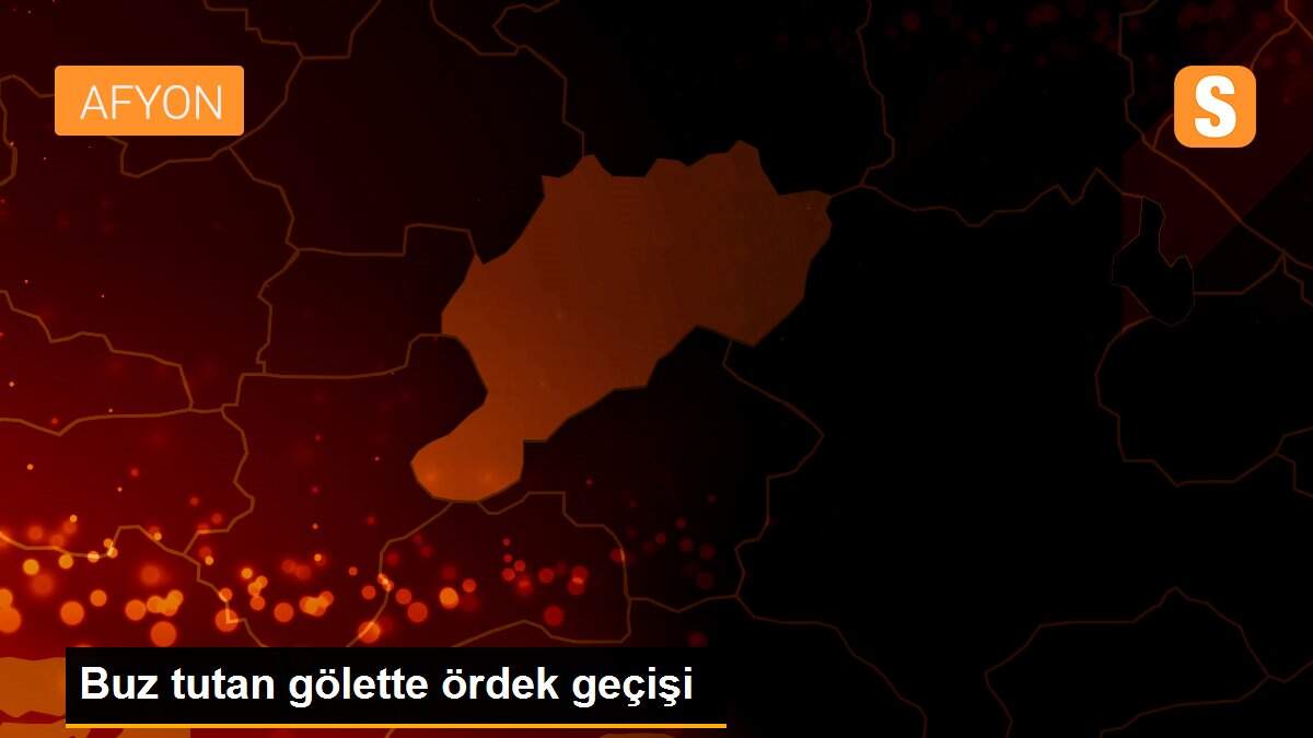 Buz tutan gölette ördek geçişi