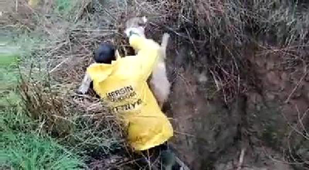 Çukura düşen köpek kurtarıldı