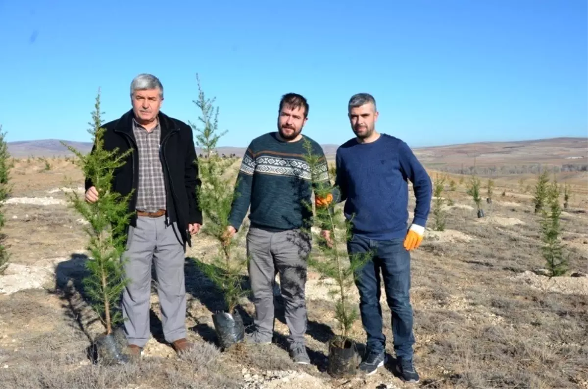 Emekli maaşıyla 200 bine yakın fidanı toprakla buluşturdu