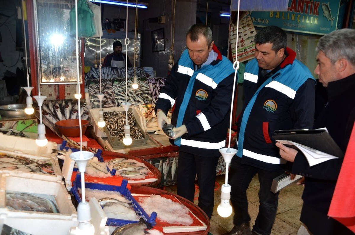 Karabük\'te balık tezgahlarında denetim yapıldı