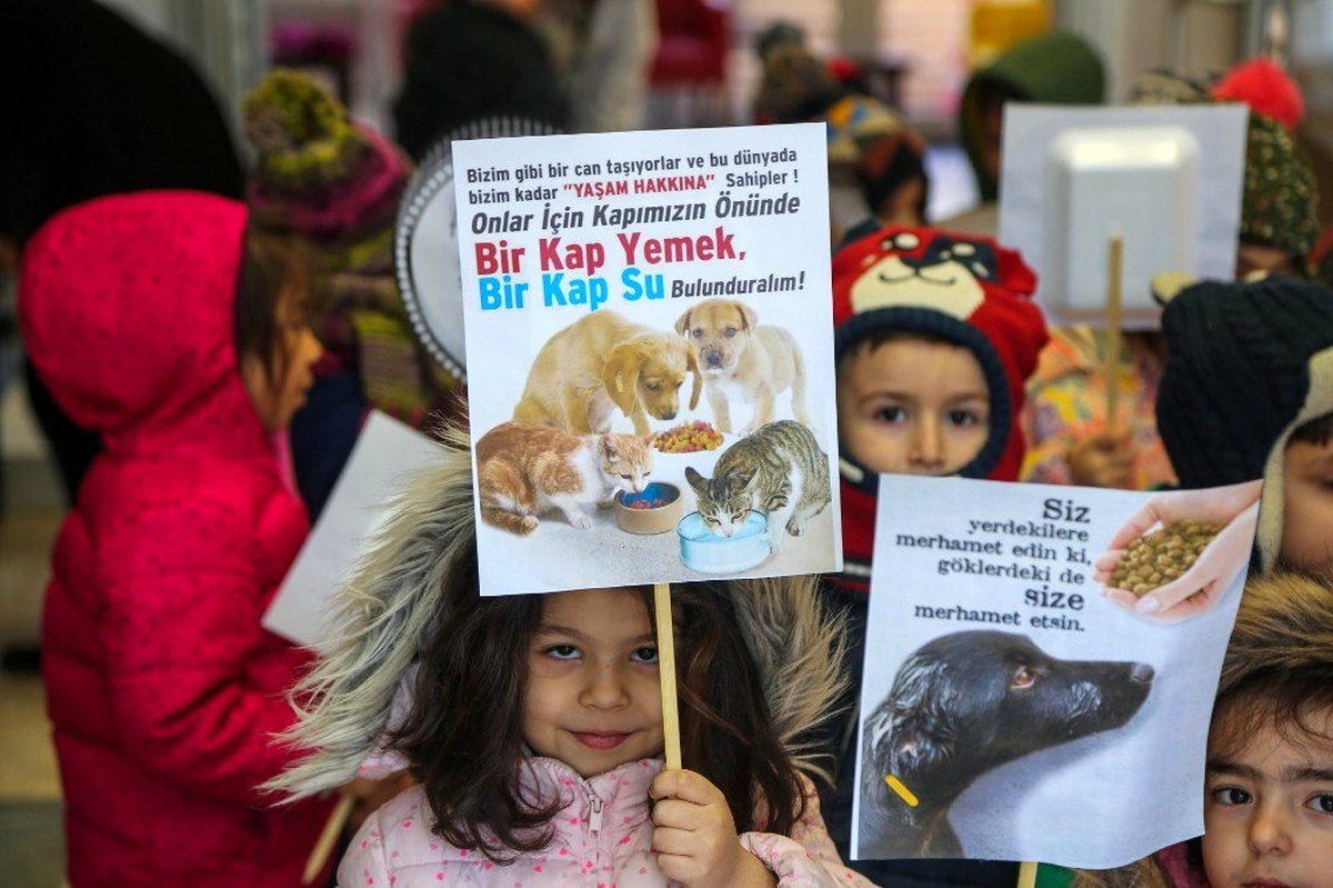 Kediler üşümesin diye yuva yaptılar