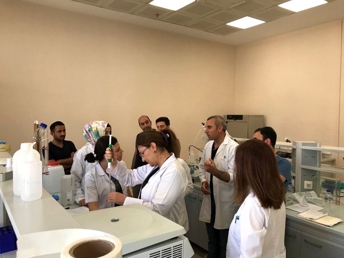 MAÜ\'den Derik Halhalı Zeytini Projesi